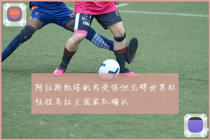 阿拉斯凯塔肌肉受伤但无碍世界杯征程乌拉圭国家队确认