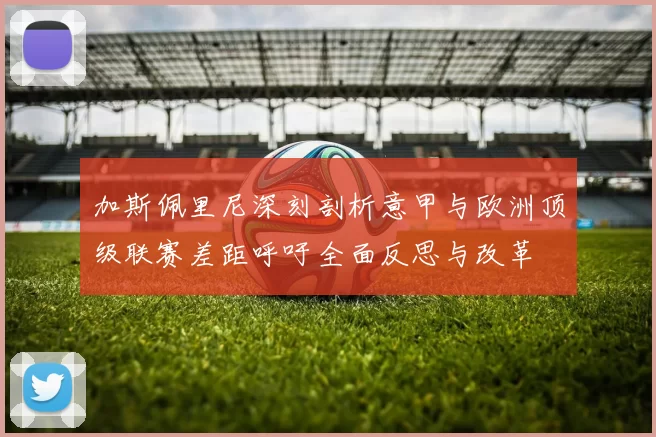 加斯佩里尼深刻剖析意甲与欧洲顶级联赛差距呼吁全面反思与改革