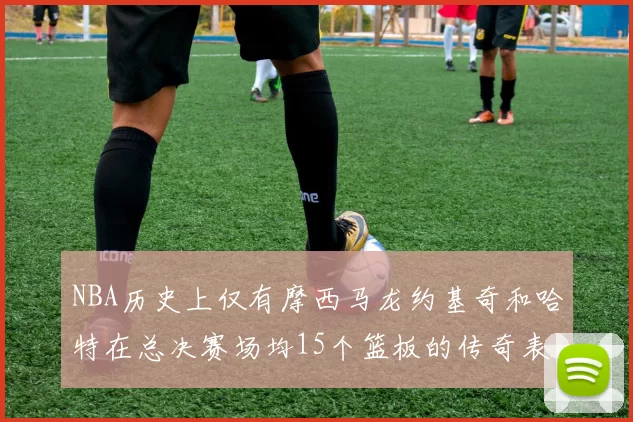 NBA历史上仅有摩西马龙约基奇和哈特在总决赛场均15个篮板的传奇表现